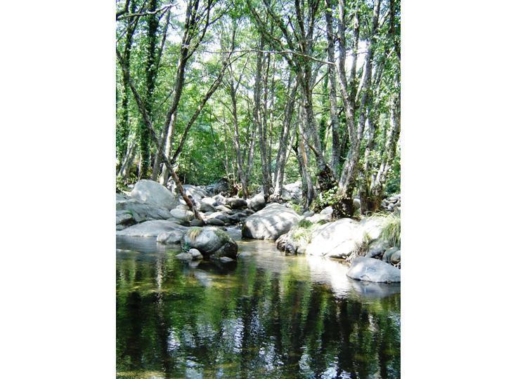 Rancho La Herradura آريناس دي سان بيدرو الغرفة الصورة